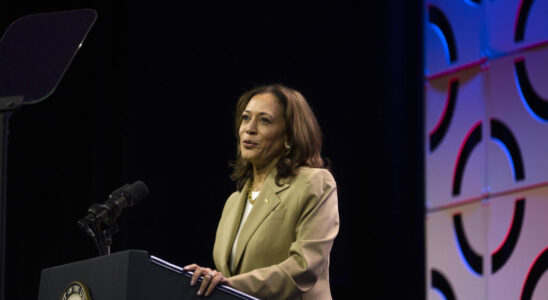 Kamala Harris the Democratic asset who could make history