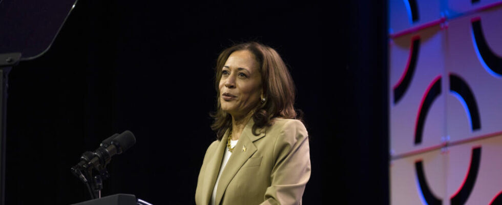 Kamala Harris the Democratic asset who could make history