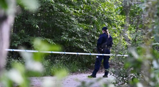 Man in his 50s found dead in forest