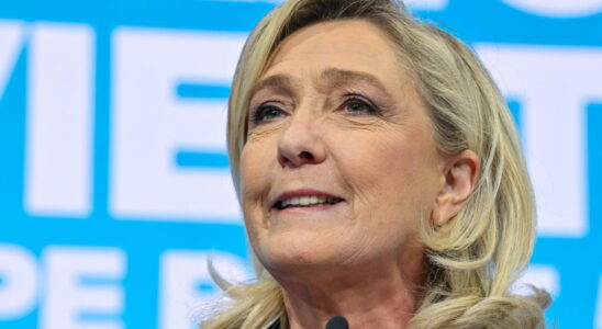 Marine Le Pen what role if Jordan Bardella becomes Prime