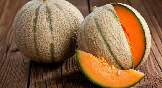 Melon is undoubtedly the king of summer especially since it