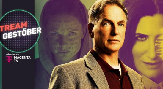 Netflixs Yellowstone Killer Gibbs NCIS return and the new DC