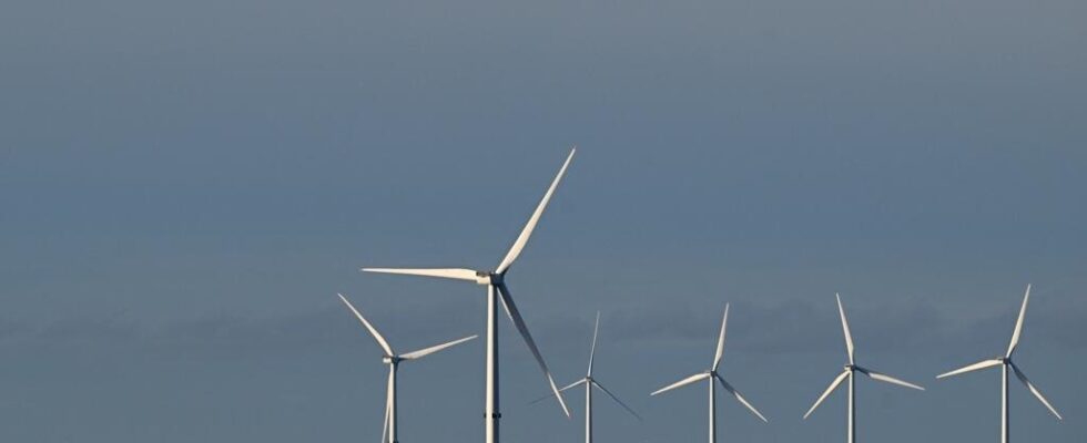 New Labour government revives wind power halted by Tories