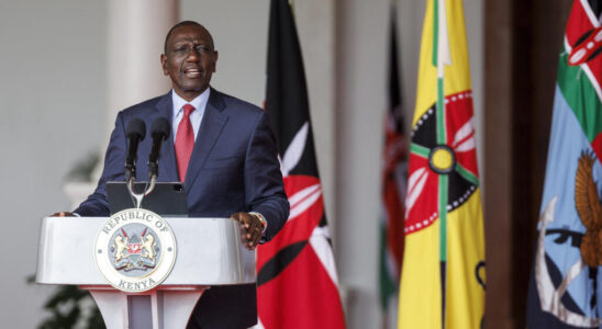 President William Ruto sacks almost his entire government