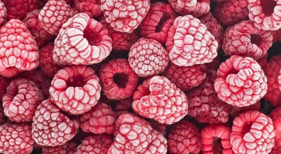 Recall of frozen fruits contaminated by norovirus