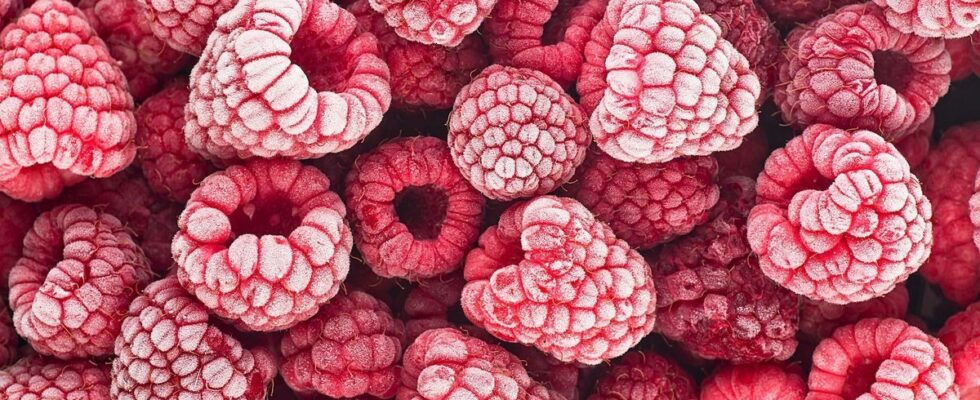 Recall of frozen fruits contaminated by norovirus