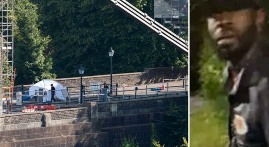 Suitcases on bridge contained body parts British police on