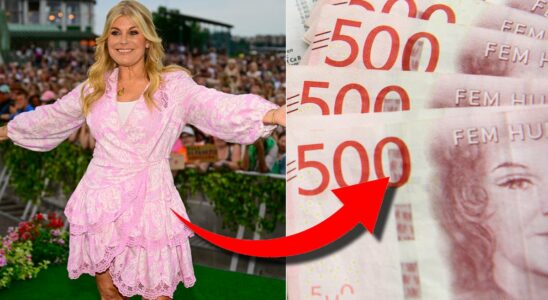 Thats how much Pernilla Wahlgrens dress in Allsang cost