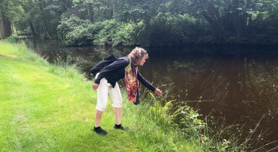 The castle forest in Baarn is a supermarket for foragers