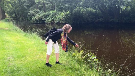 The castle forest in Baarn is a supermarket for foragers