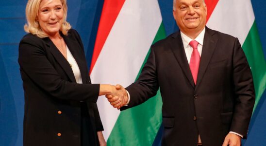 The far right unites with Orban