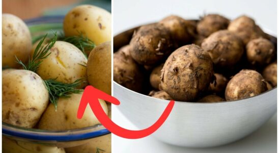 Then you shouldnt buy earthy new potatoes