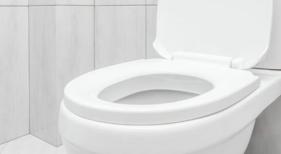 This Cheap Trick Ensures Your Toilet Always Smells Good