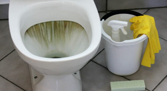 This Simple Trick Cleans Dirty Toilets In Just Two Minutes