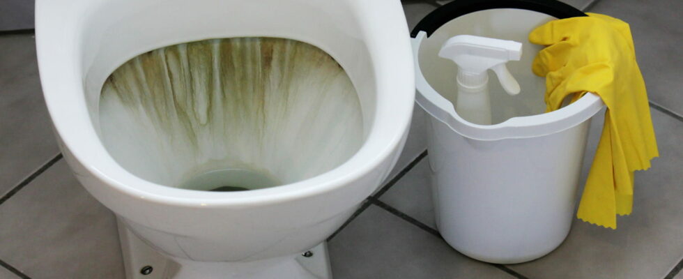 This Simple Trick Cleans Dirty Toilets In Just Two Minutes