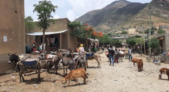 Tigray farmers struggle to recover from war