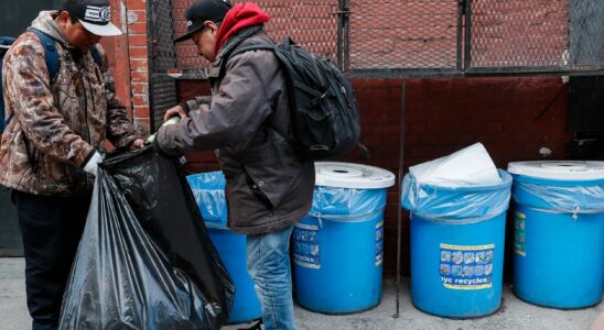 Trash revolution in New York demand for garbage cans