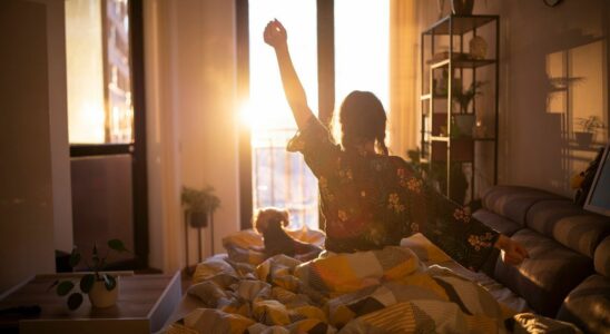 Well being three morning routines to adopt this summer