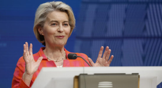 Will Ursula von der Leyen be reappointed as head of