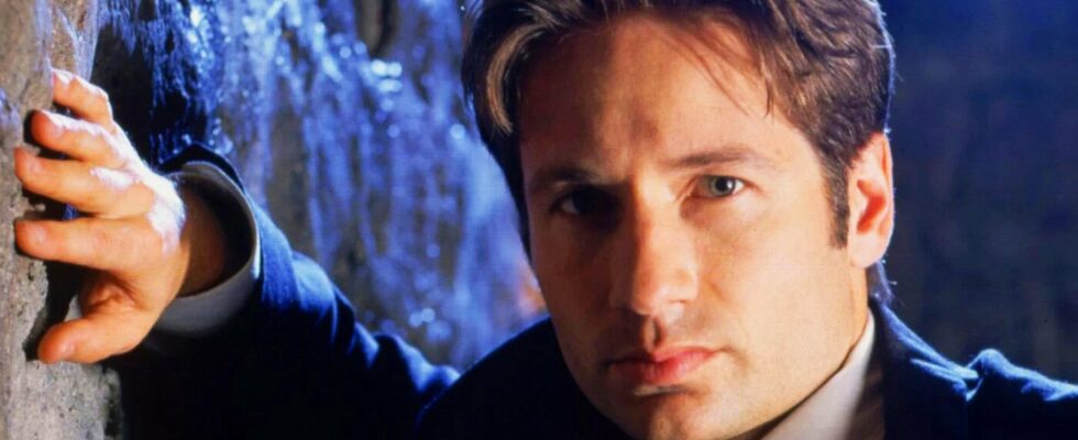 X Files star David Duchovny applied like crazy for a cult