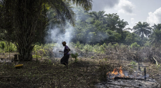 in Central Africa chronic underinvestment in the agricultural sector