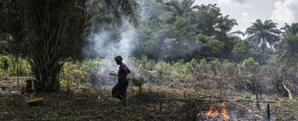 in Central Africa chronic underinvestment in the agricultural sector