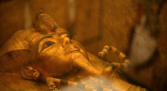 smallpox of the pharaohs – LExpress