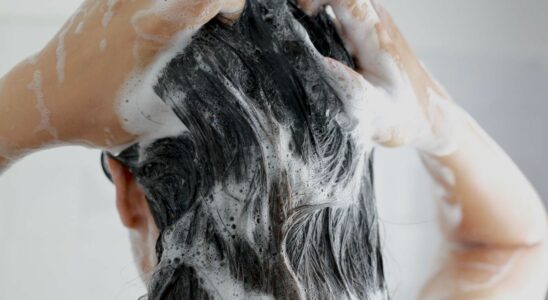 10 shampoos under 5 euros that beauty journalists love