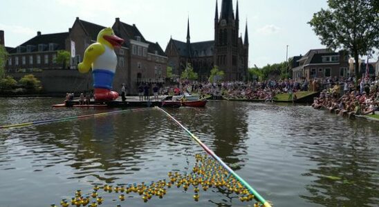 3000 rubber ducks in the canal raise thousands of euros