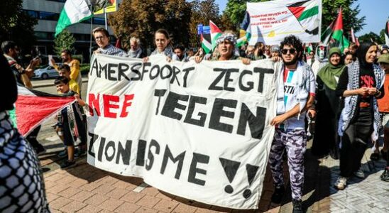 About 200 Pro Palestinian demonstrators on Eemplein Peaceful and good atmosphere