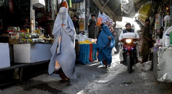 Afghanistan UN concerned by law that further tightens restrictions on