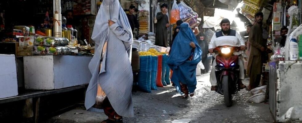 Afghanistan UN concerned by law that further tightens restrictions on