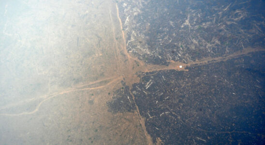 Amazon forest fires Residents of Rondonia Brazil suffocate in smoke