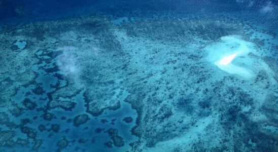 Australia 130 million plan to protect Great Barrier Reef