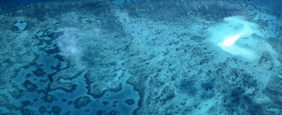 Australia 130 million plan to protect Great Barrier Reef