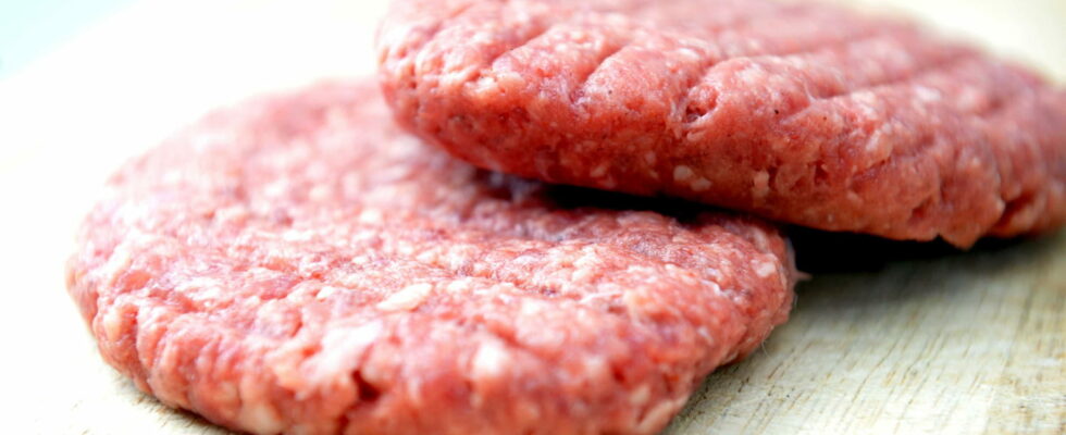 Bamboo fibers in ground steaks is it serious