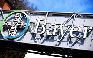 Bayer Rallying in Frankfurt After Legal Victory Over Roundup in