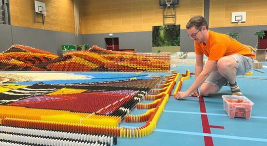 Builders from several countries work on a new domino record