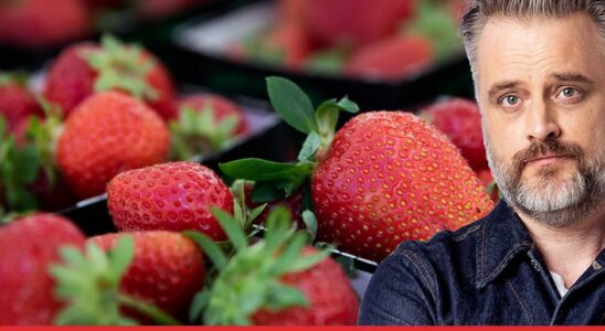 Buying ice cream and strawberries from criminal gangs