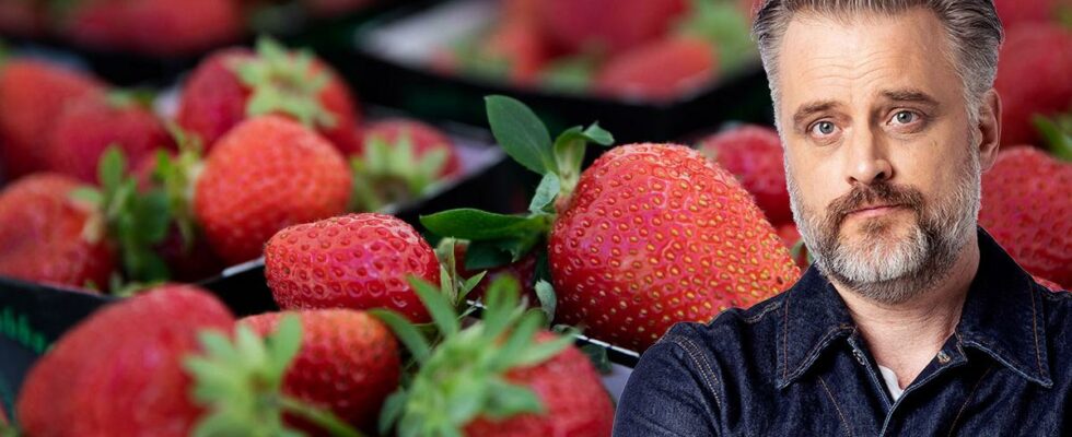 Buying ice cream and strawberries from criminal gangs