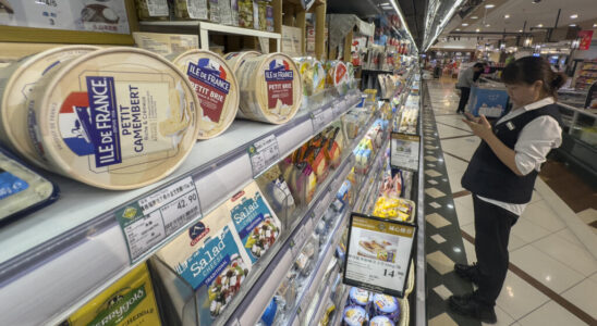 China launches investigation into some European dairy products