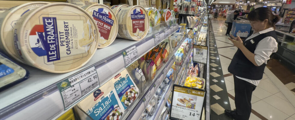 China launches investigation into some European dairy products