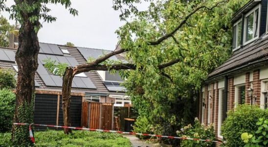 Code yellow in Utrecht dozens of fallen trees due to