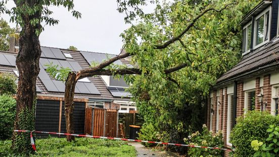 Code yellow in Utrecht dozens of fallen trees due to