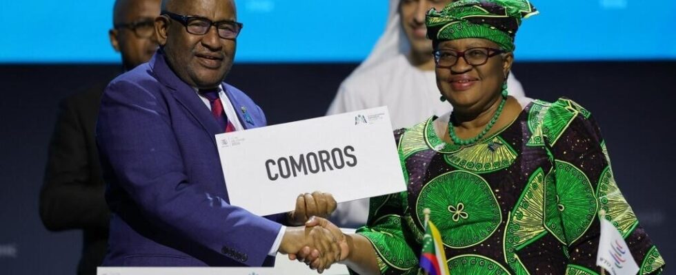 Comoros reactions between hope and caution after the countrys accession