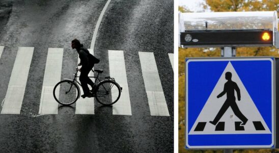 Do cyclists have priority at pedestrian crossings Thats what the