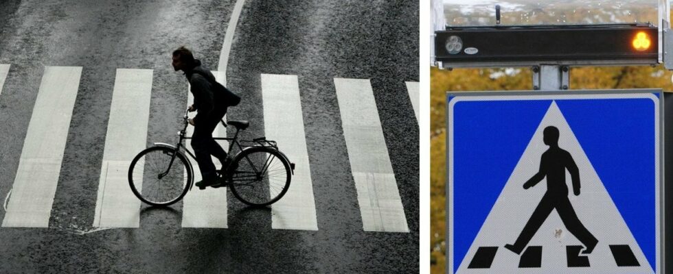 Do cyclists have priority at pedestrian crossings Thats what the