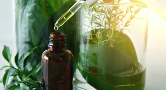 Draining here is the best essential oil against water retention