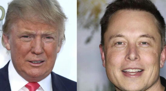 Elon Musk Donald Trumps future minister The former American president