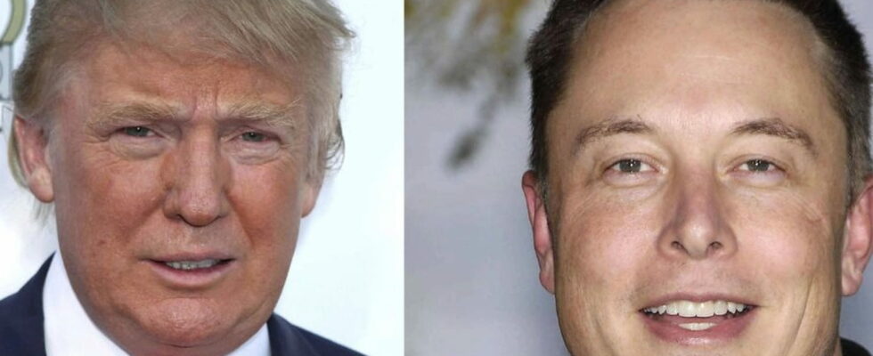 Elon Musk Donald Trumps future minister The former American president